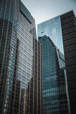 Şehirdeki modern ofis binaları