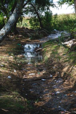 Ormanda doğanın arka planında küçük bir buhar