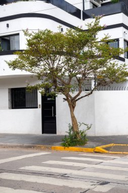 Modern mimari ile şehir caddesi manzarası