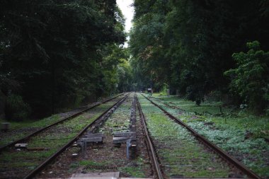 Ormandaki demiryolu manzarası 