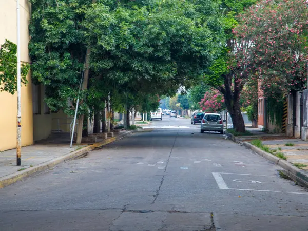 Yol kenarında yemyeşil ağaçlar olan şehir caddesi manzarası