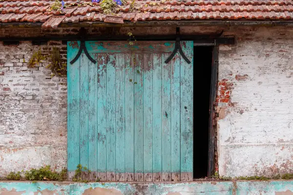 Grunge, evin eski ahşap kapısı.