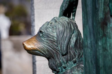 Rio De Janeiro şehrinin Eski Anıtı, Gündüz Manzarası
