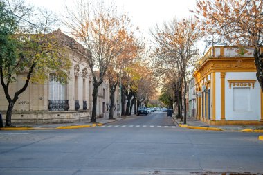 Rio de Janeiro 'da gündüz vakti Renkli Yapraklar ve Ağaçlar 