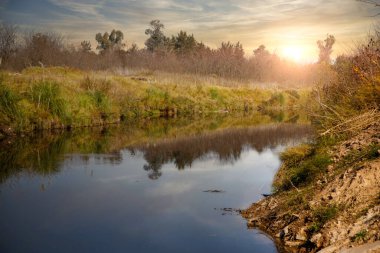 Ormandaki nehrin manzarası, doğa arka planı