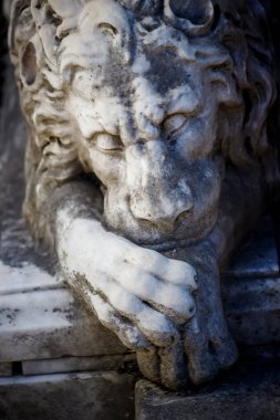 Bir aslan heykelinin detaylarını.