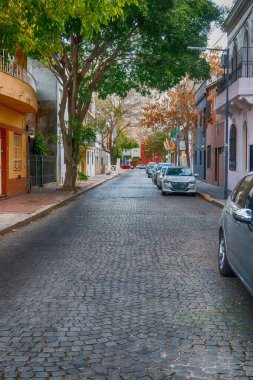 Buenos Aires, Arjantin - 18 Kasım 2019: Buenos Aires 'teki Eski Çakıl Taşı Caddesi.