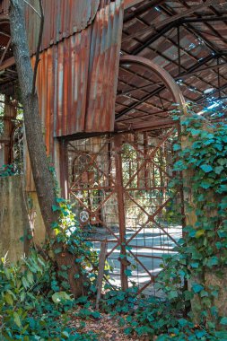 Buenos Aires 'teki Eski Terk Edilmiş Binanın İçi