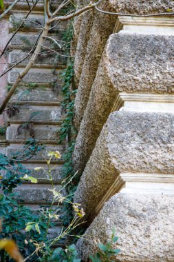 Şehir parkındaki eski binanın kısmi manzarası, gündüz vakti bitkilerle dolu taş duvar. 