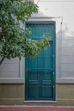 Beyaz duvarlı yeşil kapı ve dışarıda büyüyen ağaç.