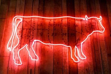 Gece şehrinde neon ışıkta boğanın yakın çekimi