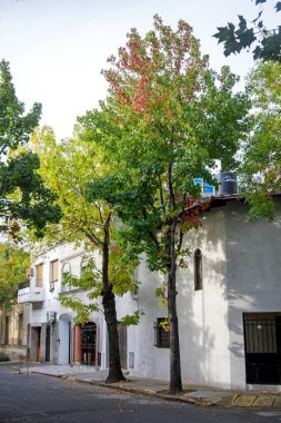 Eski evleri olan rahat şehir caddesi