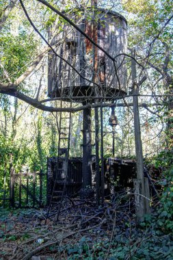 Gündüz vakti ormanda terk edilmiş bir ağaç ev.