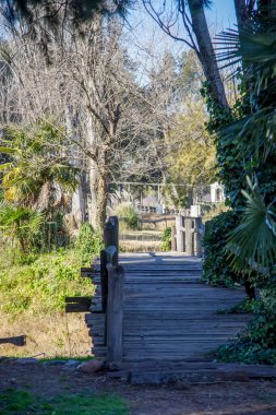 Parktaki ahşap köprünün güzel bir görüntüsü.