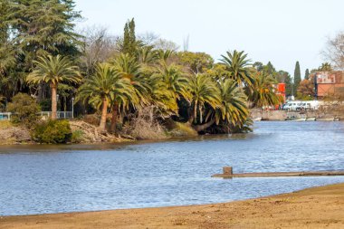 Şehir parkında palmiye ağaçları ile çevrili bir nehir.