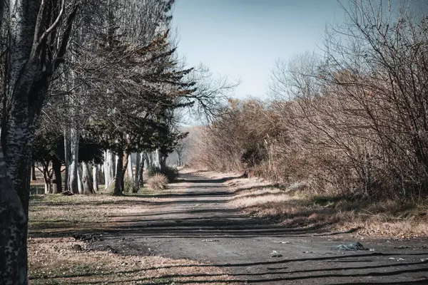 Ormanda patikası olan güzel sonbahar manzarası 
