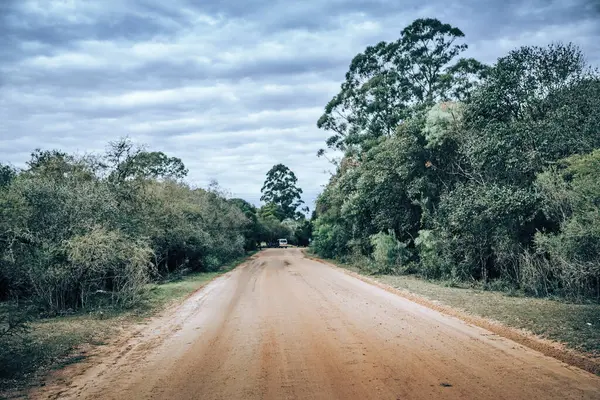Kırsal kesimde bir ormanın ortasında yol