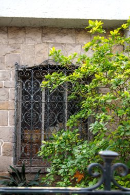 Süslü demir pencere yapraklı yeşil çalıların yanında ızgara yapıyor