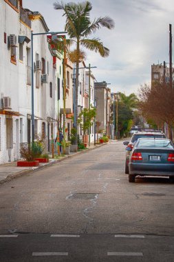 Park halindeki arabaların palmiye ağaçlarının olduğu sessiz bir yerleşim yeri.
