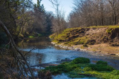 Güneş ışığı çimenli kıyıların yanındaki sakin dereye yansıyor