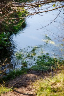Güneş ışığı, sakin nehir suyu yüzeyine yansıyor.