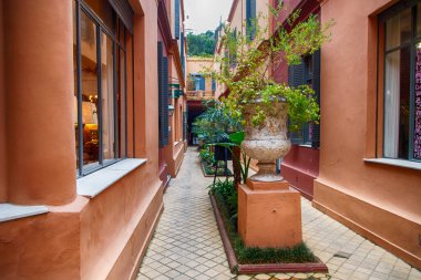 Saksı bitkilerinin ve pencerelerin bulunduğu dar renkli ara sokaklar