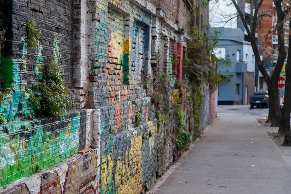 Eski tuğla bina duvarlarını kaplayan renkli duvar yazıları