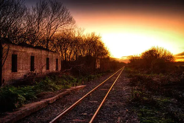 Terk edilmiş tren rayları gün batımına doğru uzanıyor.