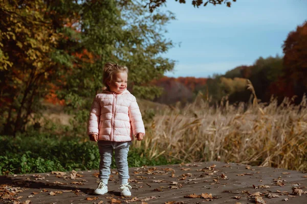 stock image a family is walking in the middle of autumn nature with two little twin sisters; 