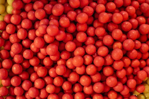 Muitos Doces Marmelada Coloridos Dispostos Uma Superfície Plana Sobremesa Para — Fotografia de Stock