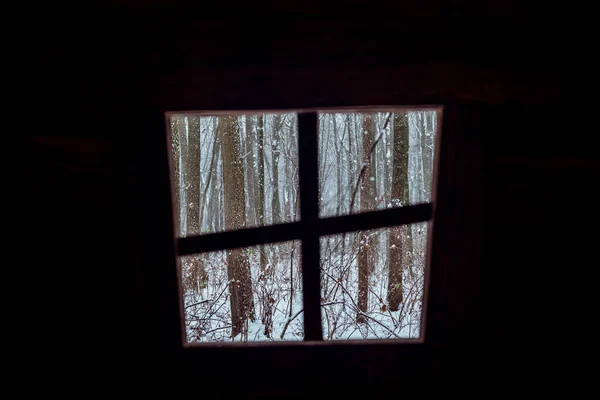 Gęsty Las Śnieżny Cienkimi Drzewami Widok Przez Puste Drewniane Okno — Zdjęcie stockowe