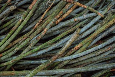 Binanın ön cephesinin bir parçası ve inşa edildiği malzeme; ince kuru dallarla dolu bir alan