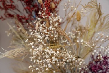 Binanın ön cephesinin bir parçası ve inşa edildiği malzeme; ince saplar ve küçük çiçeklerin dekoratif bileşimi