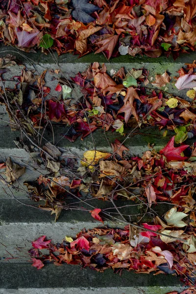 建筑物立面和建筑材料的一部分装饰 秋天干枯的叶子在楼梯上 — 图库照片