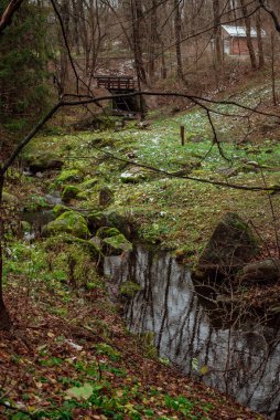 uzay manzaralı sonbahar manzarasının bir parçası; taş kayalar ve çimenler arasında orman akıntısı