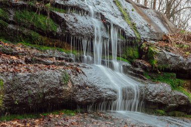 uzay manzaralı sonbahar manzarası; orman küçük şelalesi