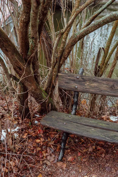 秋天自然景观的一部分 可以看到空间 公园里靠近灌木丛的长椅 — 图库照片