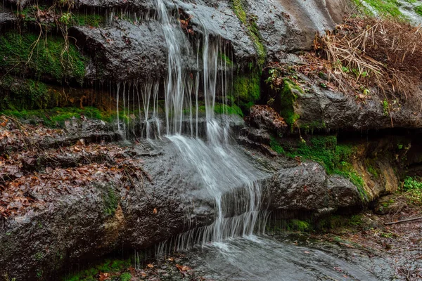 stock image part of autumnnatural landscape with a view of space;forest small waterfall