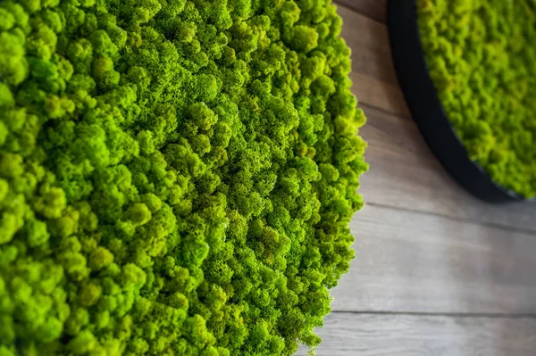 Green decorative soft moss for interior decoration. Decorative materials on the wall. Green artificial moss.
