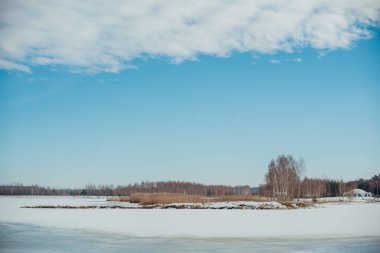 Various trees in the background of the winter sky on a sunny day. Winter landscape on a sunny day. Snow on the field and in the forest.