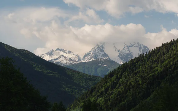 Природний Ландшафт Гір Пагорбів Грузія — стокове фото