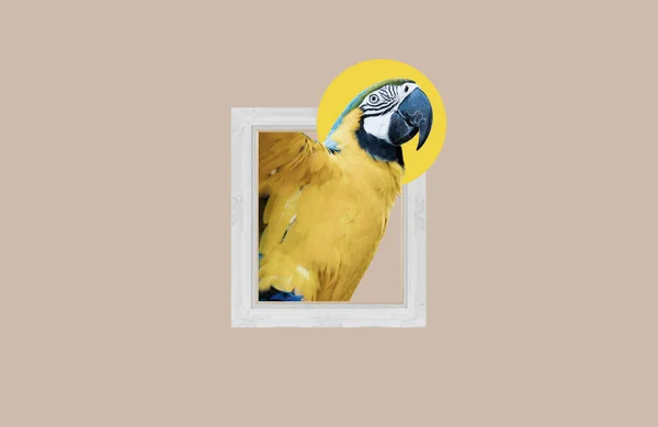 デジタルコラージュ 写真フレームの黄色い鳥 — ストック写真