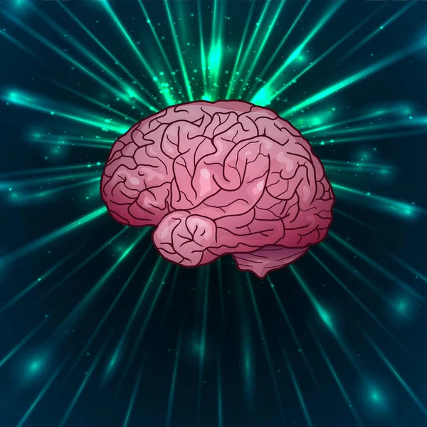 Vektor Illustration Mänsklig Hjärna Sida Visa Ljusa Strålar Med Gnistrar — Stock vektor
