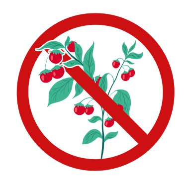 Cherry tomatoes in a prohibition sign. Vector forbidden sign with dangerous gmo food. The danger of chemically harmful food. Dont pick vegetables.