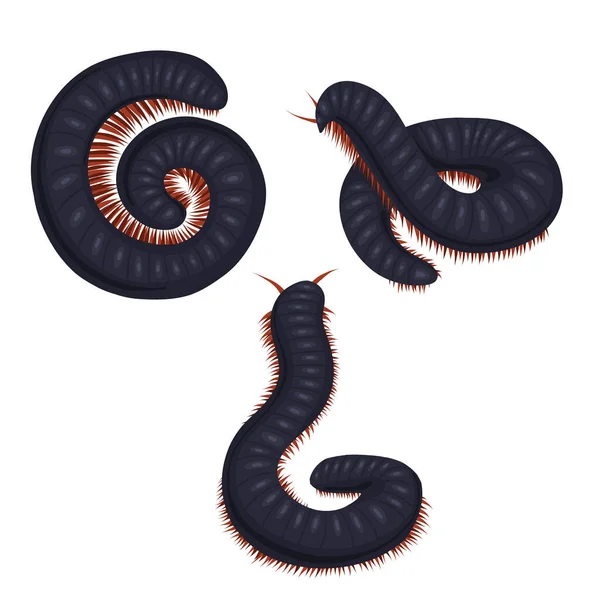 Vector Set Scary Centipedes Isolated Background Collection Cartoon Julida Kit — Stok Vektör