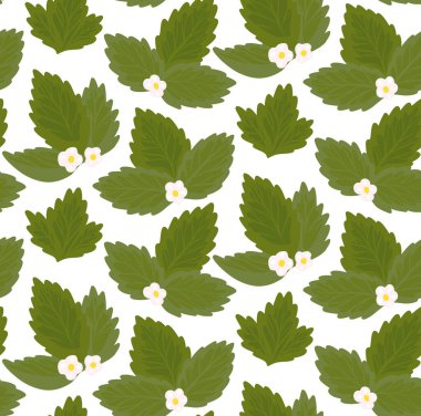 Kusursuz desenli, beyaz arka planda çilek yaprakları ve çiçekler. Kumaşlar ve duvar kağıtları için bir demet yaprak içeren botanik düz el dokusu