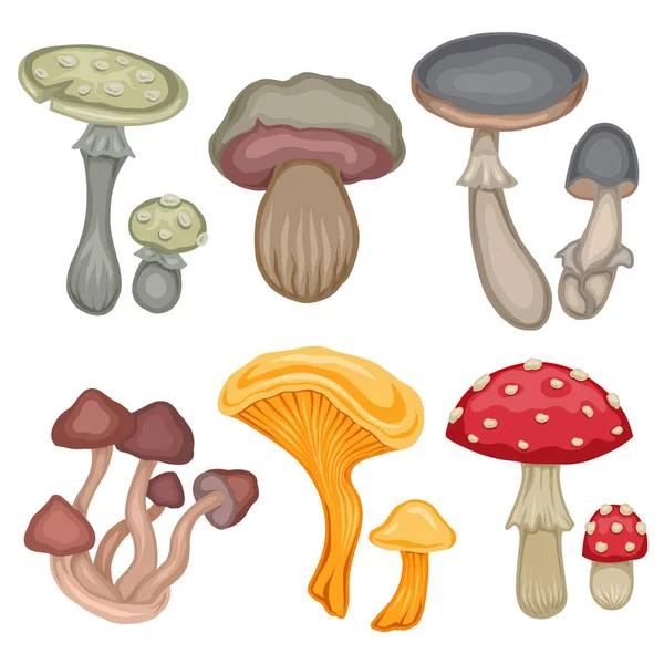 Conjunto Vetorial Desenhos Animados Coloridos Vários Cogumelos Venenosos Isolados Fundo — Vetor de Stock