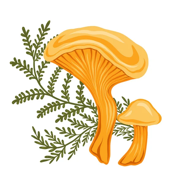 Vektorillustration Eines Bunten Cartoon Pilzes Mit Farnstämmen Auf Weißem Hintergrund — Stockvektor