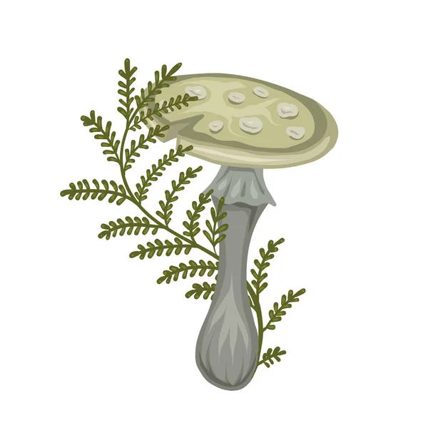 Vektorillustration Eines Giftigen Pilzes Mit Farnstämmen Auf Weißem Hintergrund Amanita — Stockvektor