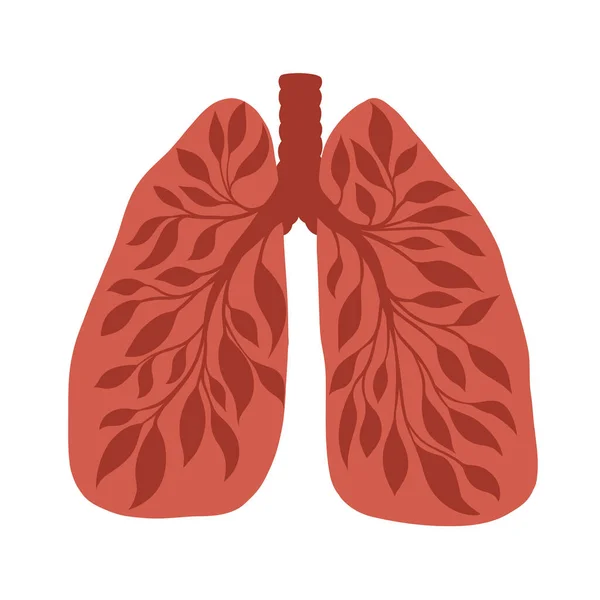 Ilustración Anatómica Vectorial Pulmones Humanos Sanos Con Rama Árbol Aislada — Archivo Imágenes Vectoriales